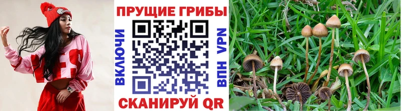 Галлюциногенные грибы Magic Shrooms  Черепаново 